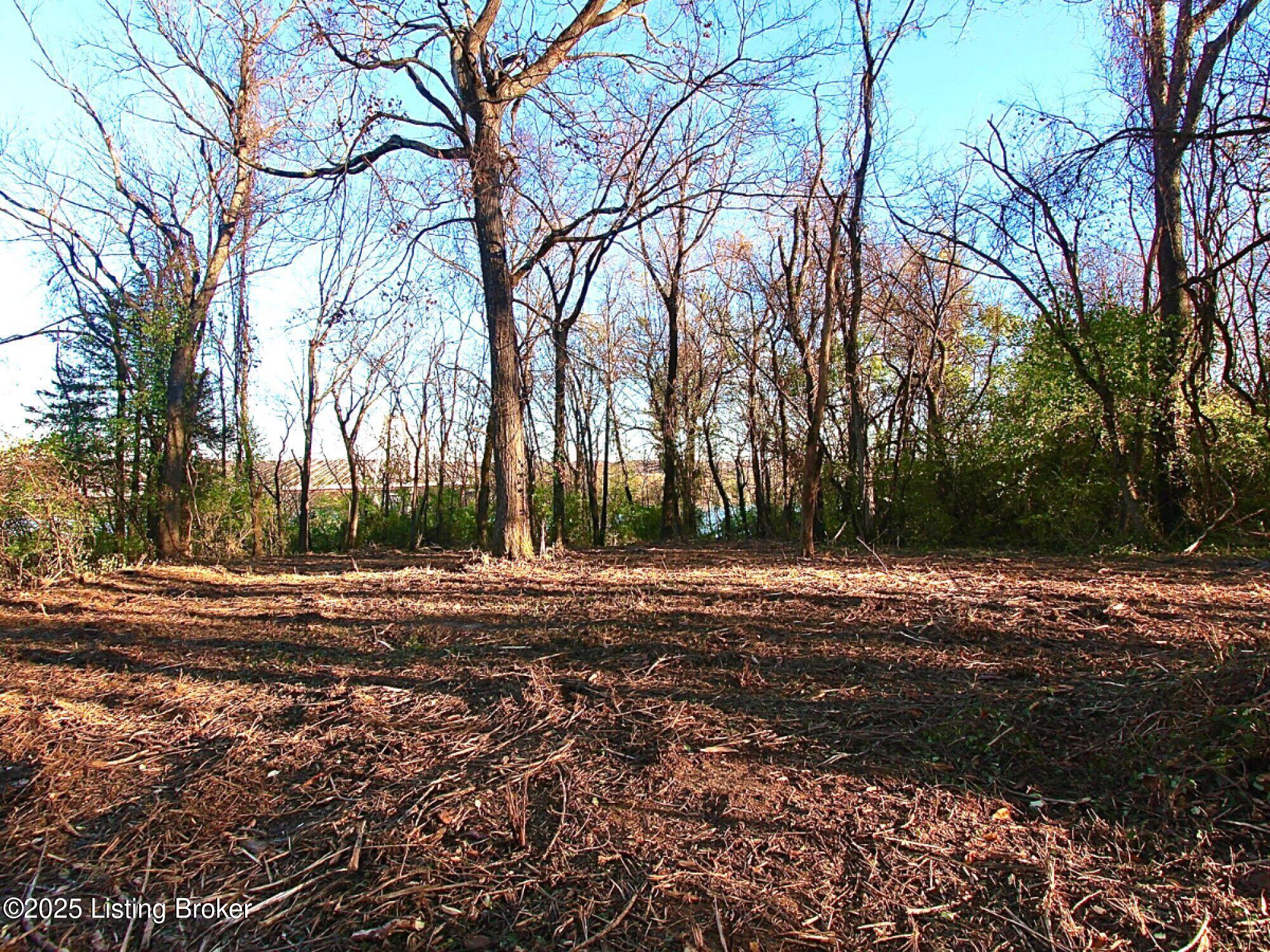 0 Upper River Road Jeffersonville, IN 47130 - Photo 11 of 50 11