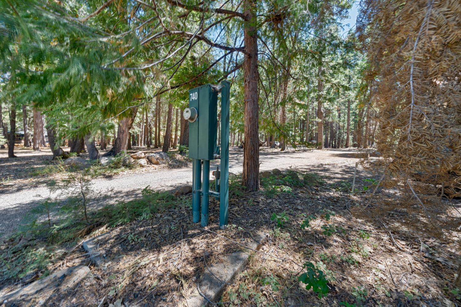 740 Hideaway Loop Alta, CA 95701 - Photo 62 of 74 a view of a yard with plants and trees