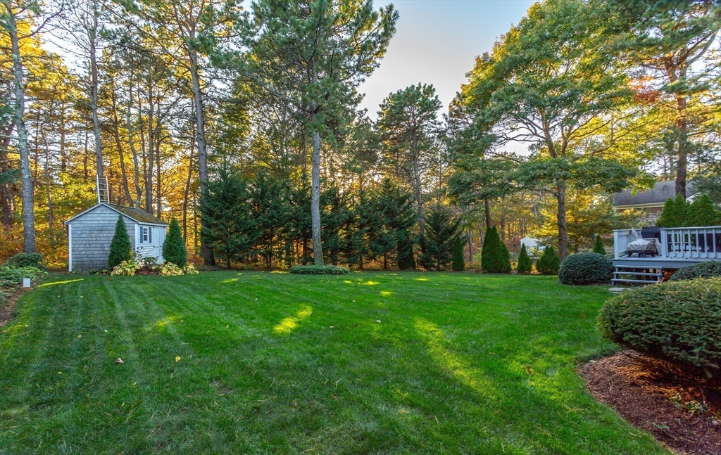 20 Sandy Way Mashpee, MA 02649 - Photo 30 of 33 a view of a garden with trees