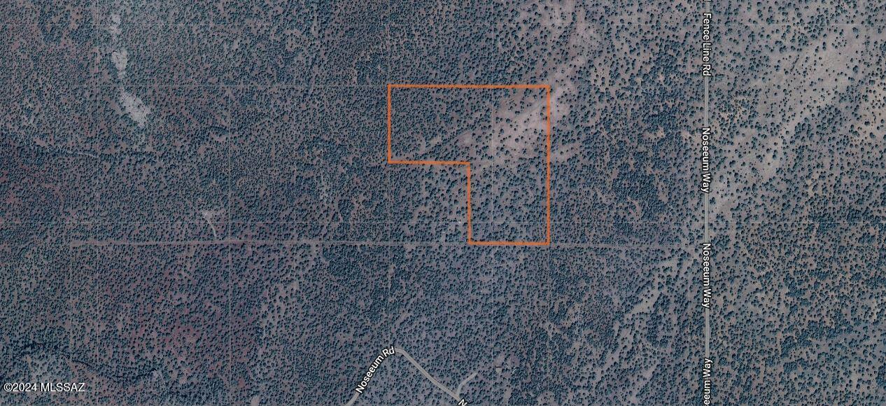 268 Olivas Alone Road Williams, AZ 86046 - Photo 9 of 12