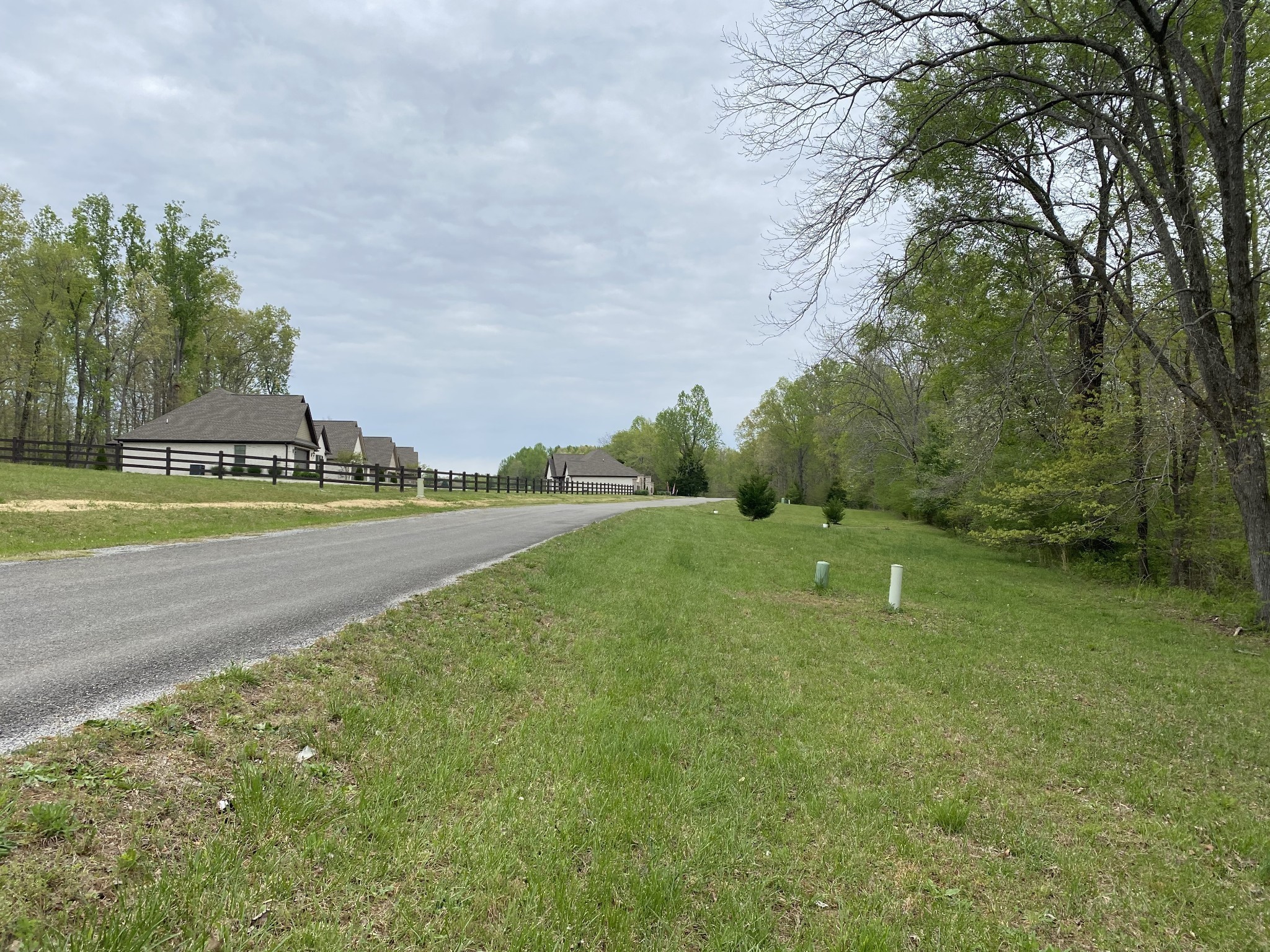 0 Eagle Loop Loretto, TN 38469 - Photo 5 of 7