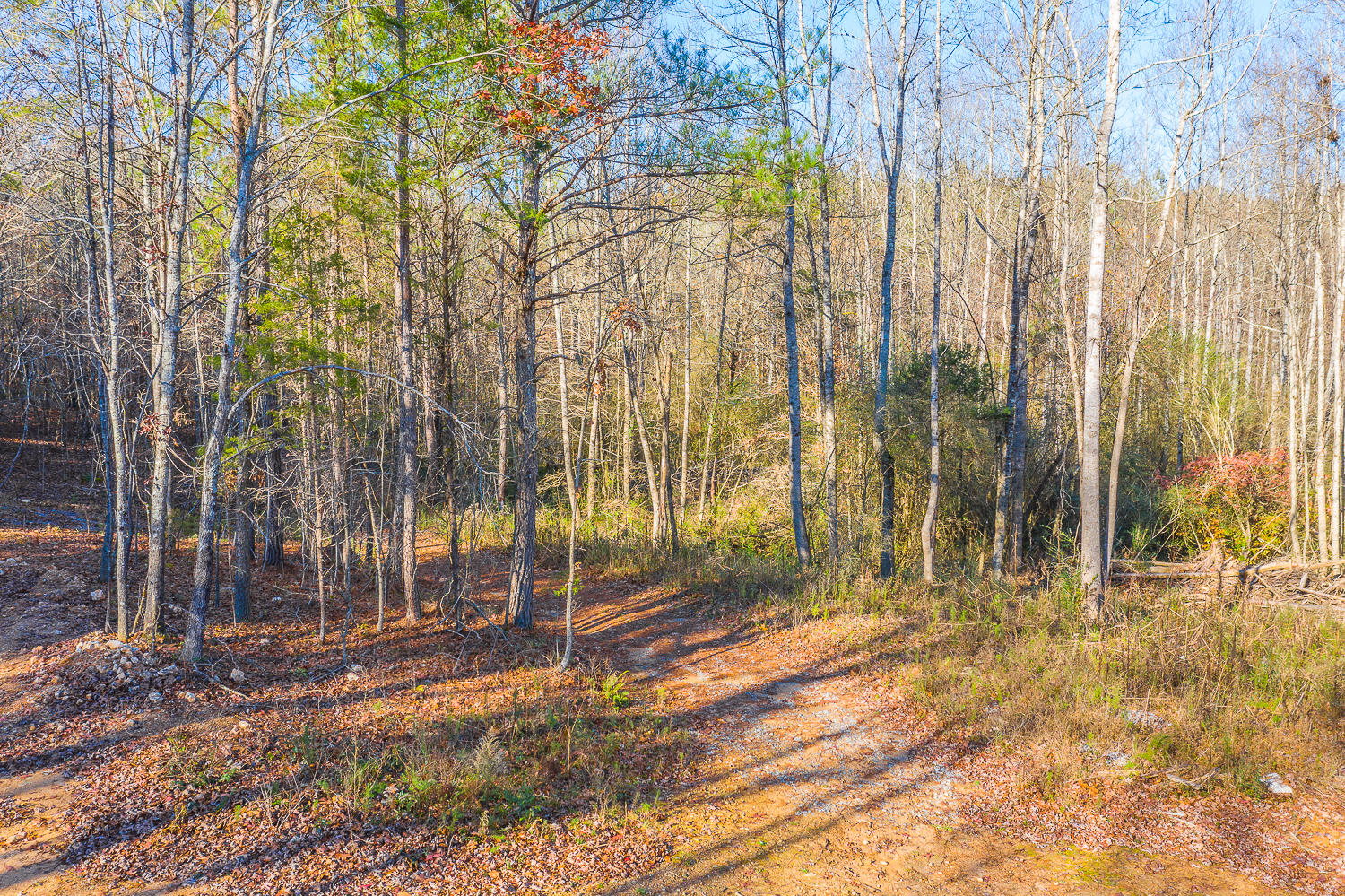 655 Walnut Grove Road LaFayette, GA 30728 - Photo 1 of 15 655 Walnut Grove Aerials HD -1