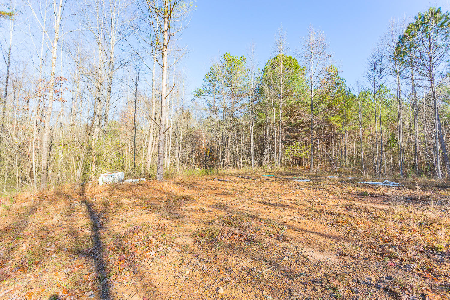 655 Walnut Grove Road LaFayette, GA 30728 - Photo 2 of 15 655 Walnut Grove HD -3