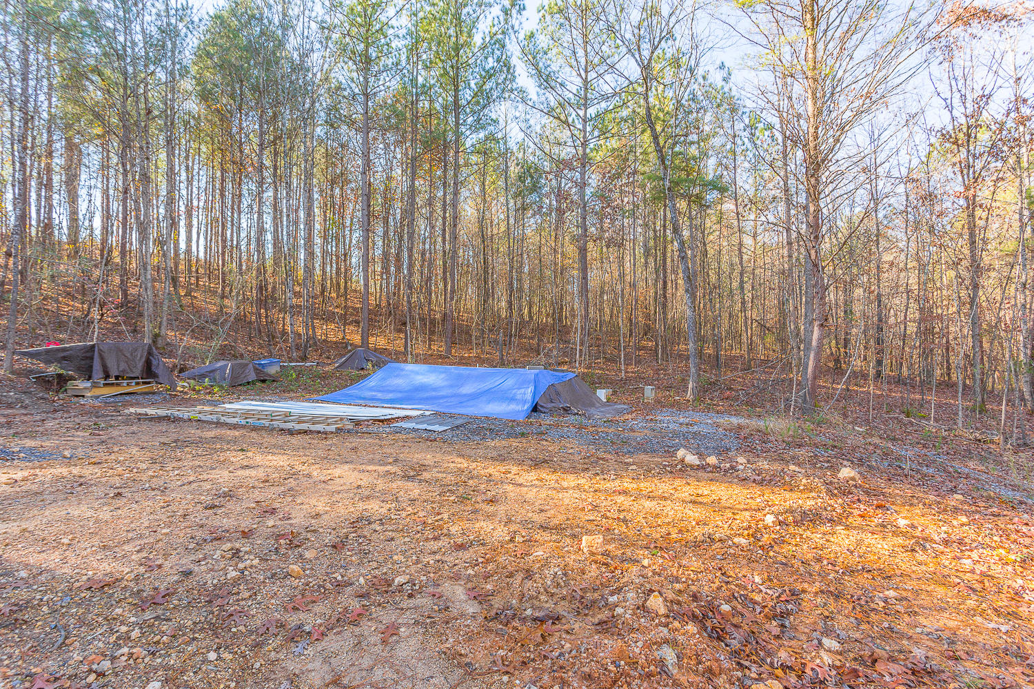 655 Walnut Grove Road LaFayette, GA 30728 - Photo 3 of 15 655 Walnut Grove HD -5