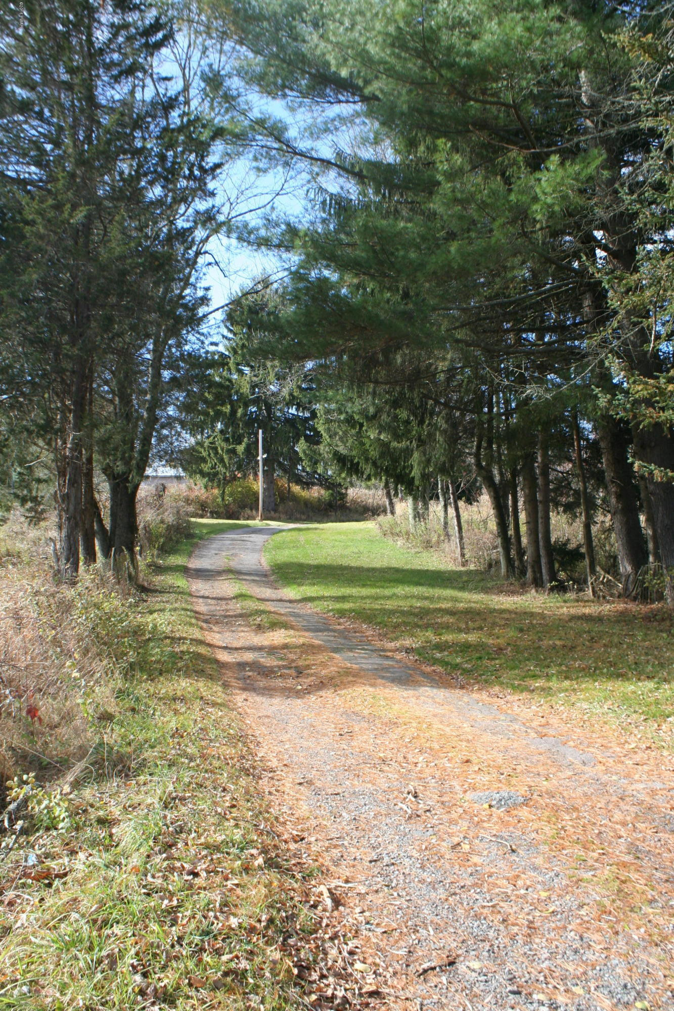 245 Fords Road Honesdale, PA 18431 - Photo 2 of 23