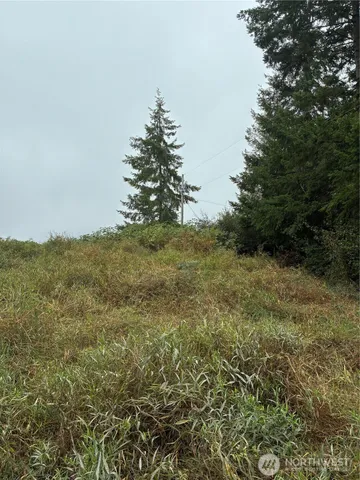 a street sign on a sidewalk next to a road