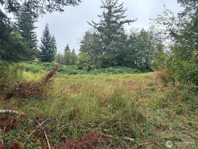a view of a chairs and table in a patio