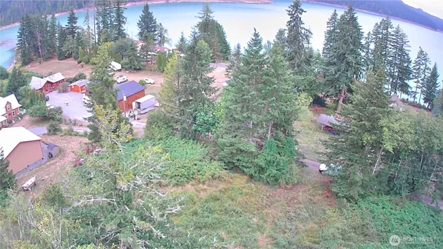 a view of a lake in middle of forest