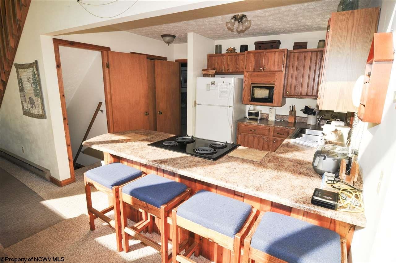 321 Slopeside Road Davis, WV 26260 - Photo 8 of 20 Gallery Image 8