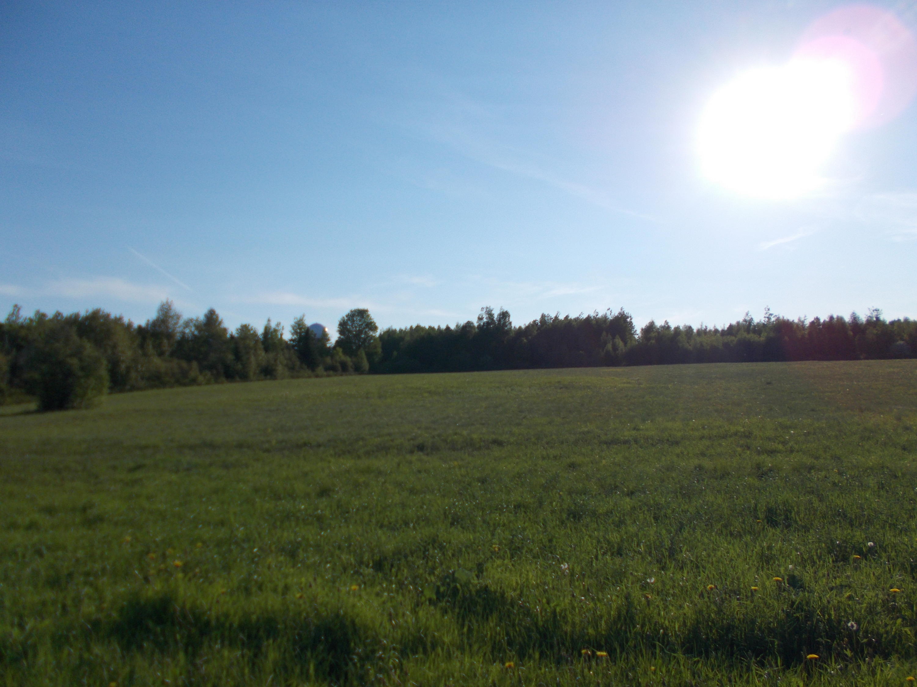 DSCN6808