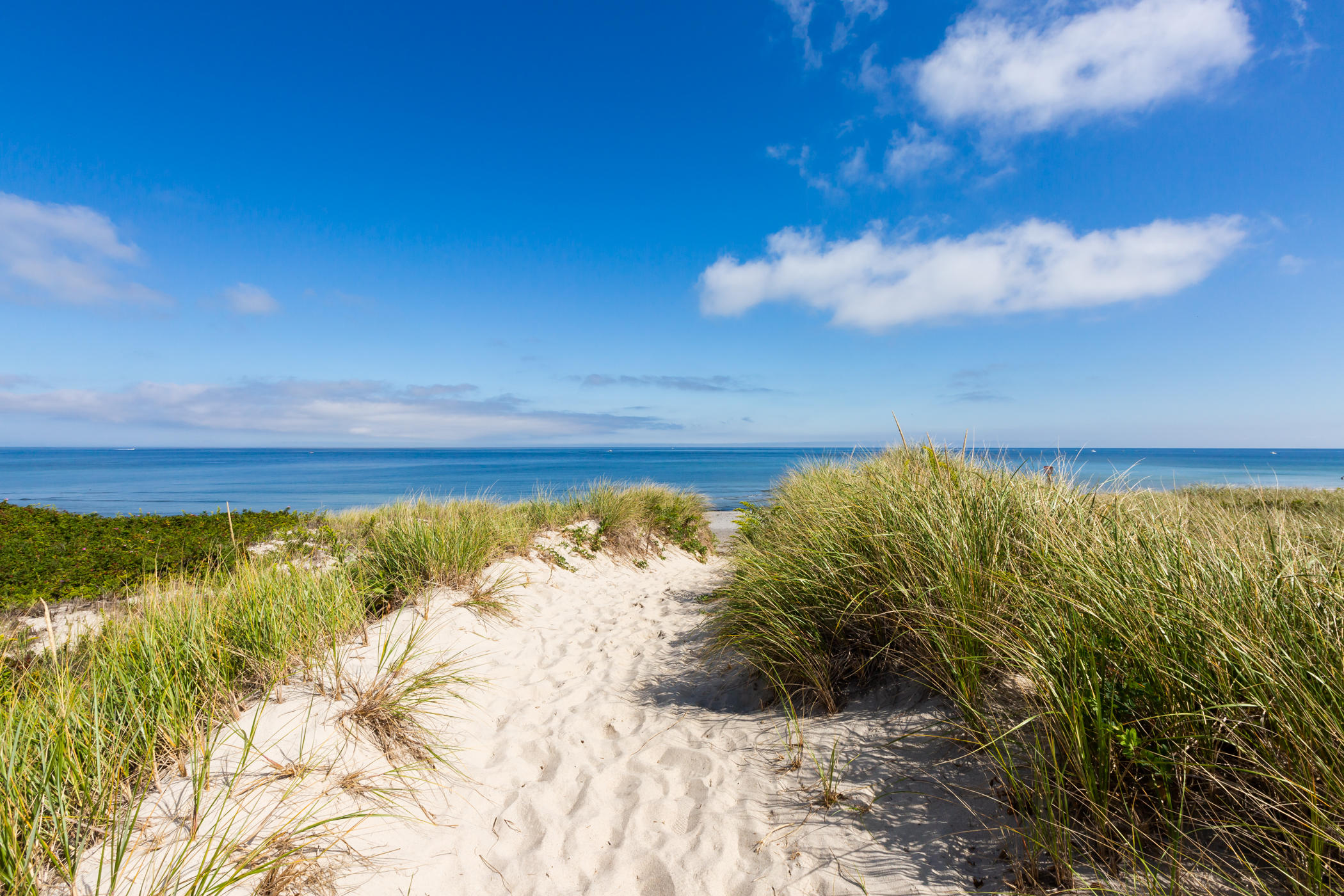 11 Marshview Circle East Sandwich, MA 02537 - Photo 20 of 21 Walkway to the Beach