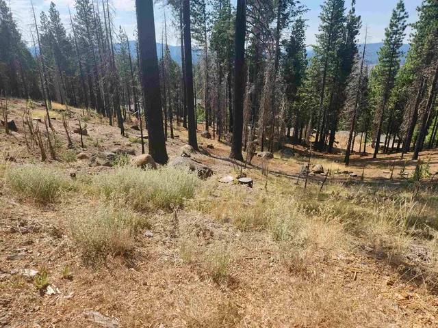 $125,000 | 512 Eagle Crest Drive, Lake Almanor West, CA 96020