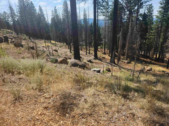 $125,000 | 512 Eagle Crest Drive, Lake Almanor West, CA 96020