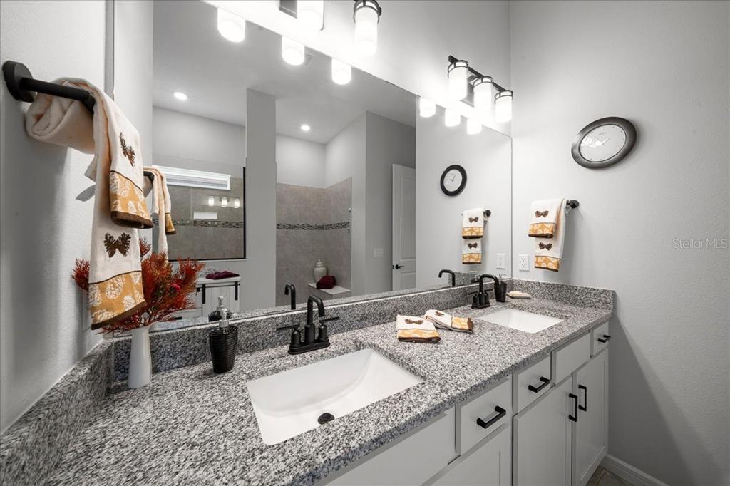 8750 Southwest 59th Ln Road Ocala, FL 34481 - Photo 38 of 41 a bathroom with a granite countertop sink a mirror and shower