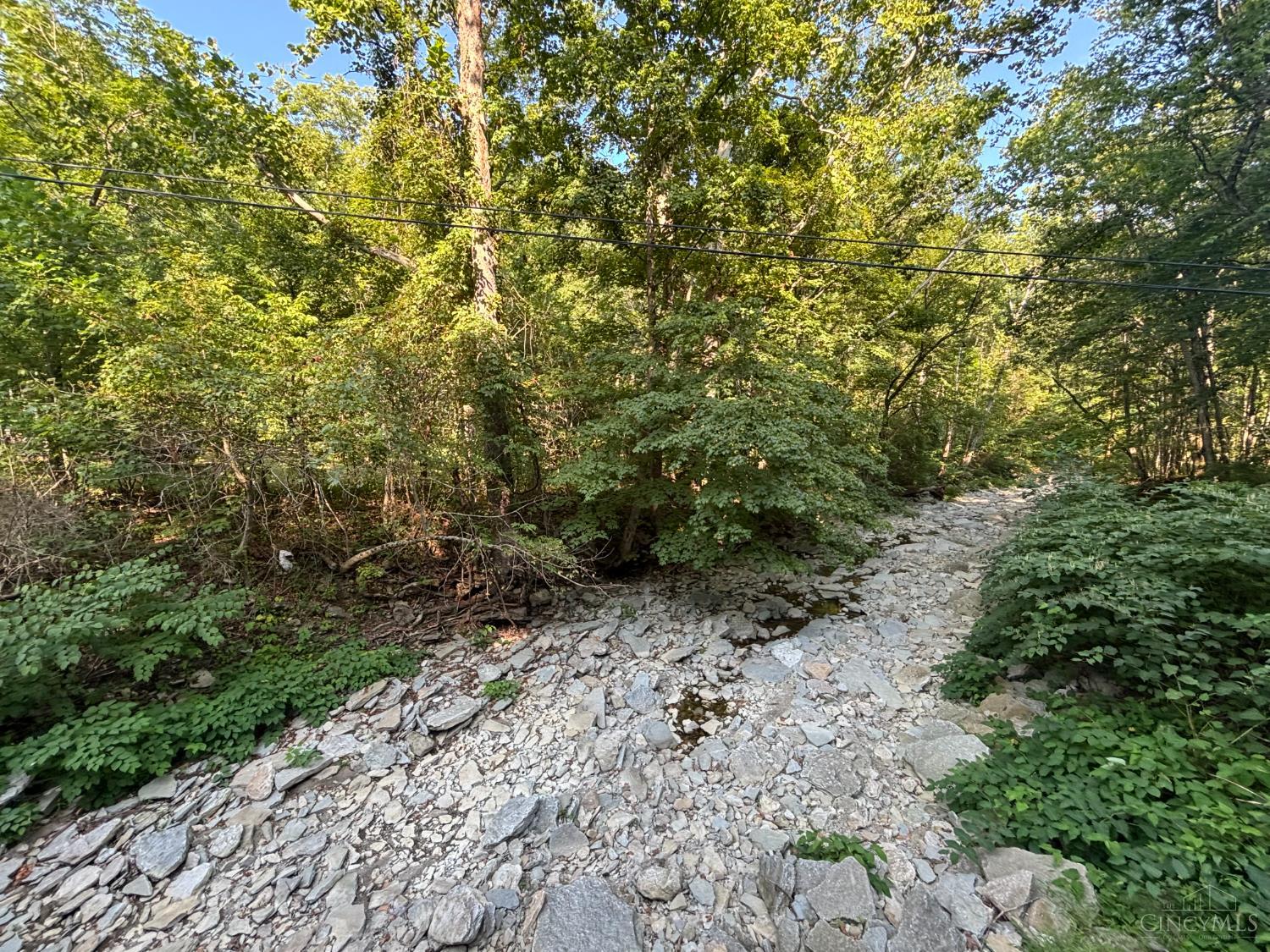514 Felicity Cedron Rural Road Georgetown, OH 45121 - Photo 3 of 30 Creek on edge of side property