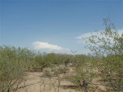 13645 West Dally Road Tucson, AZ 85743 - Photo 2 of 2 Gallery Image 2
