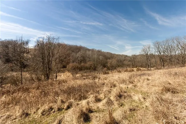 a view of mountain covered with trees