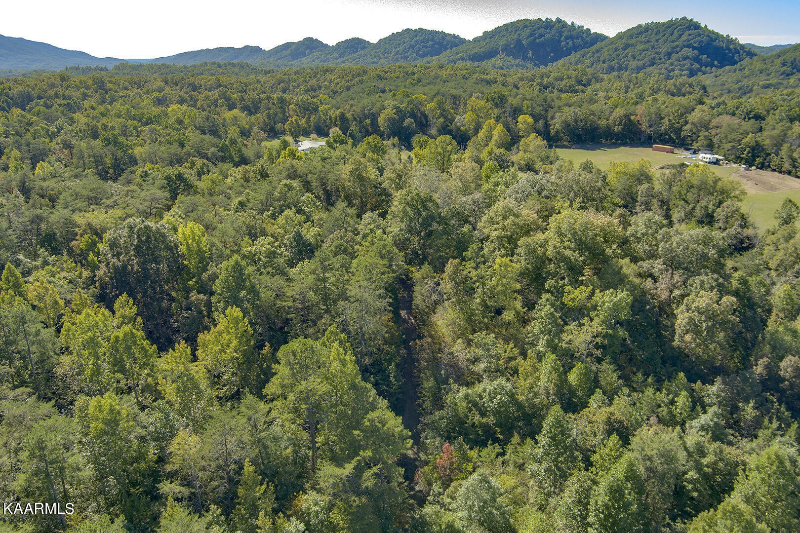 0 Shaddon Road Tellico Plains, TN 37385 - Photo 3 of 17