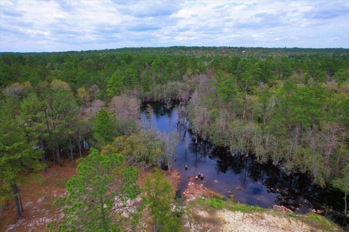 477 Canoe Lake Road Holt, FL 32564 - Photo 19 of 28 19-IMG_0354
