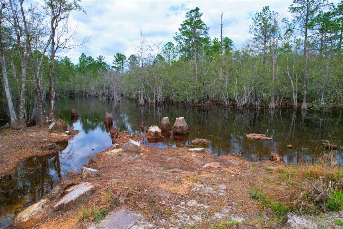 477 Canoe Lake Road Holt, FL 32564 - Photo 28 of 28 37-IMG_0347