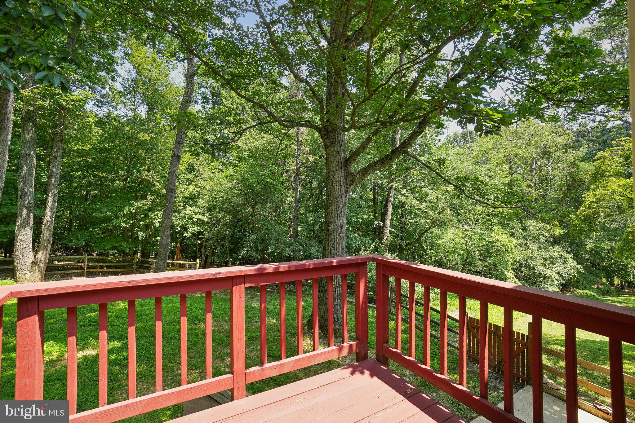 41756 Stumptown Road Leesburg, VA 20176 - Photo 19 of 61 Deck off of primary bedroom