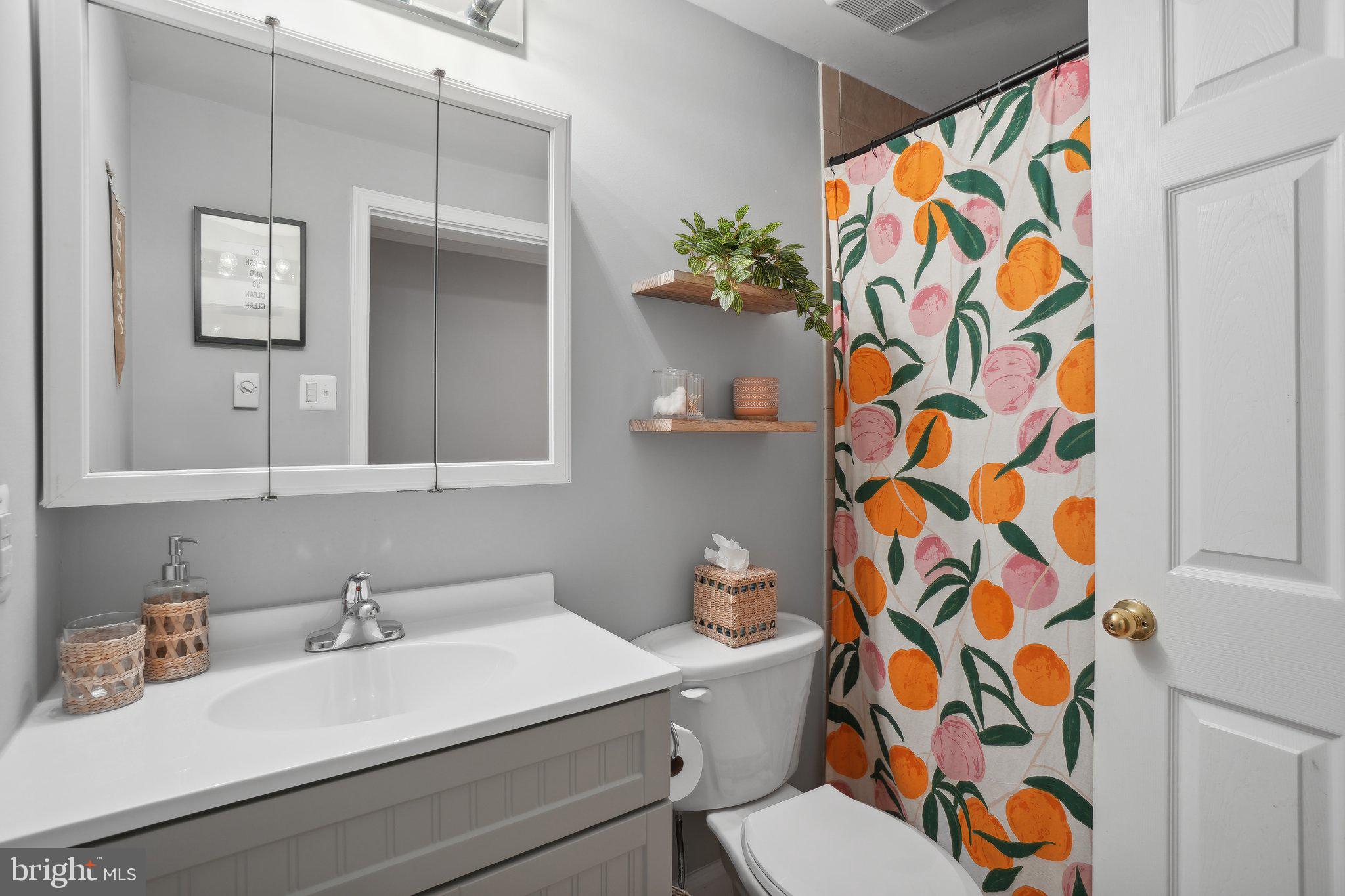 41756 Stumptown Road Leesburg, VA 20176 - Photo 27 of 61 Hall Bathroom