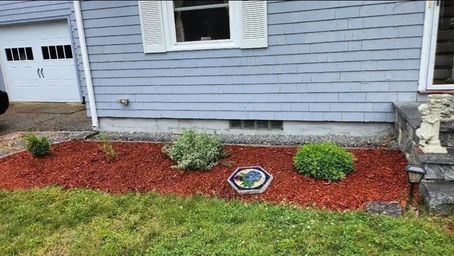 a view of a backyard with plants and a garden