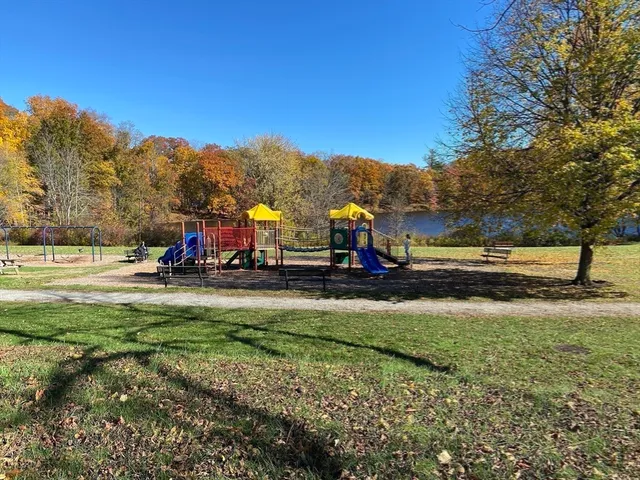 a view of a park with large trees