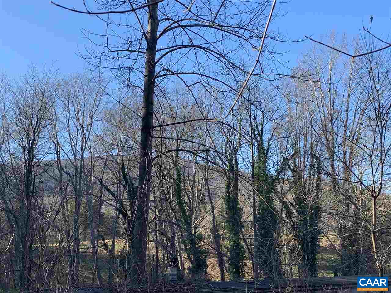 Tbd Crawfords View Road Afton, VA 22920 - Photo 1 of 8 Gallery Image 1