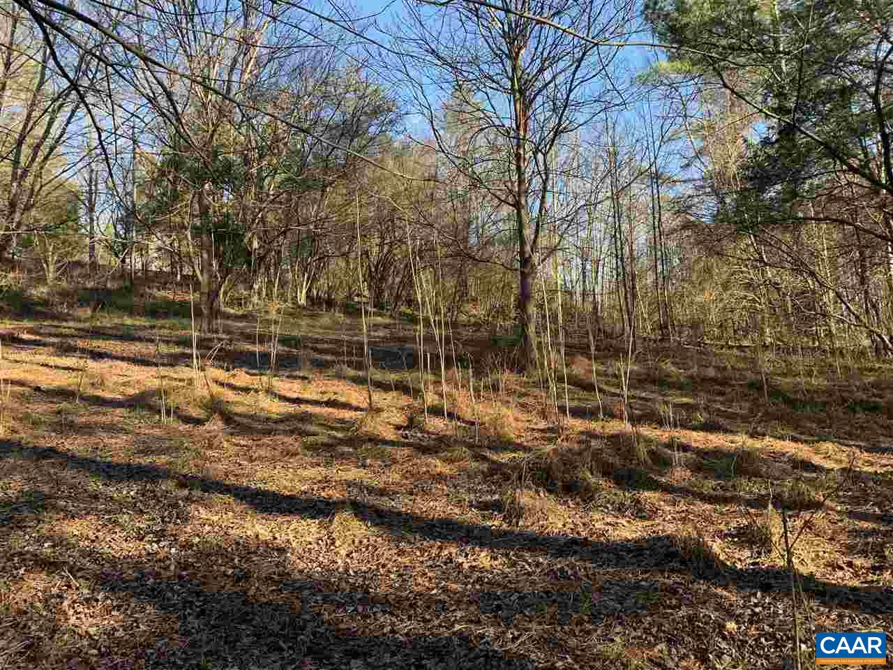 Tbd Crawfords View Road Afton, VA 22920 - Photo 3 of 8 Gallery Image 3