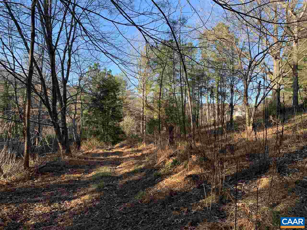 Tbd Crawfords View Road Afton, VA 22920 - Photo 5 of 8 Gallery Image 5