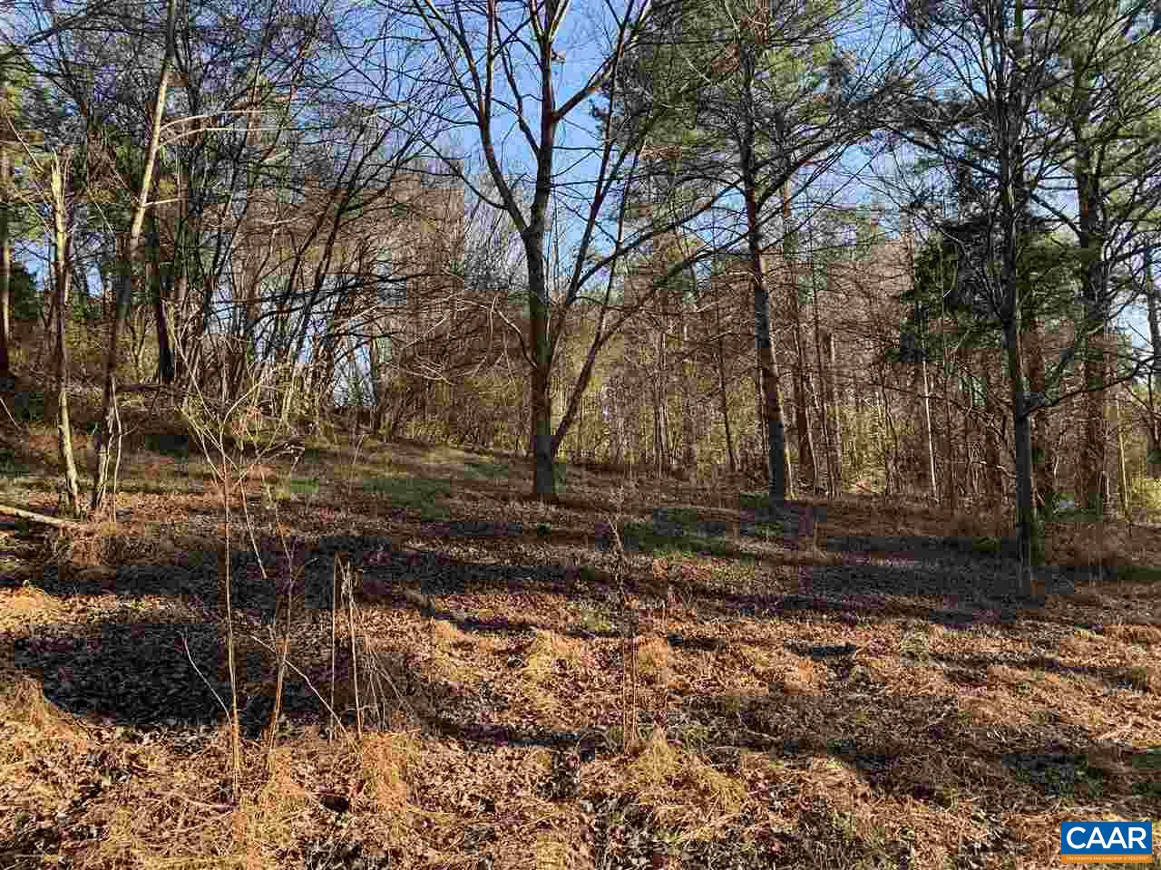 Tbd Crawfords View Road Afton, VA 22920 - Photo 6 of 8 Gallery Image 6