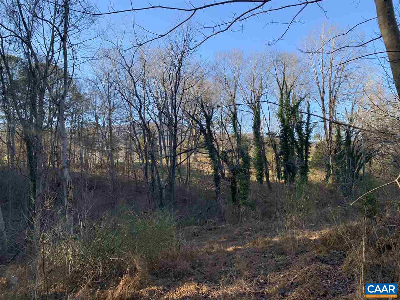 Tbd Crawfords View Road Afton, VA 22920 - Photo 7 of 8 Gallery Image 7