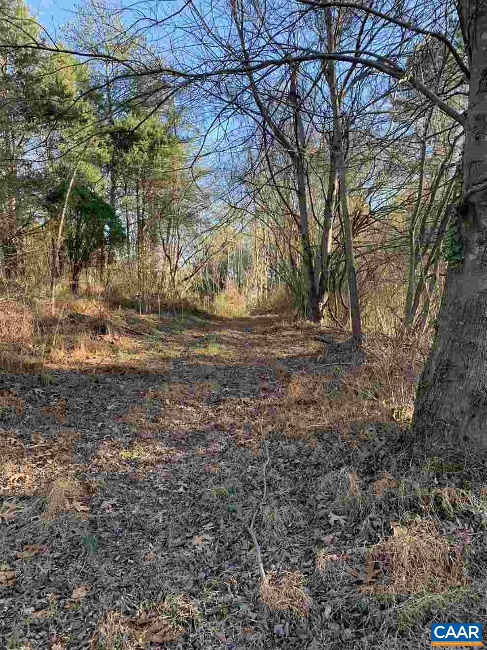 Tbd Crawfords View Road Afton, VA 22920 - Photo 8 of 8 Gallery Image 8
