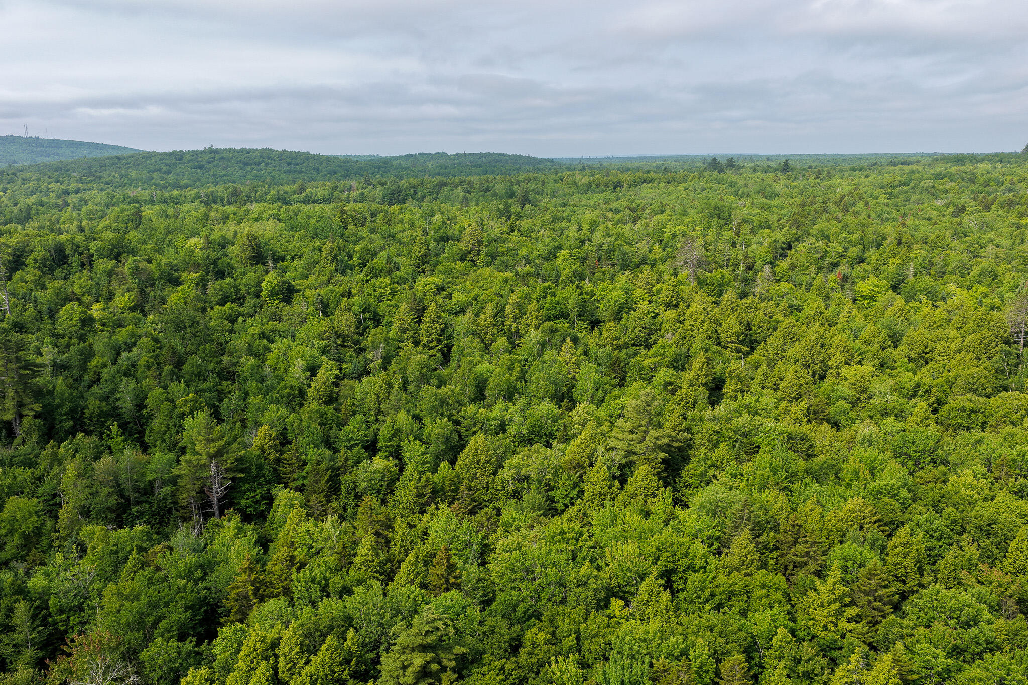 156 North Union Road Cooper, ME 04657 - Photo 5 of 11 5