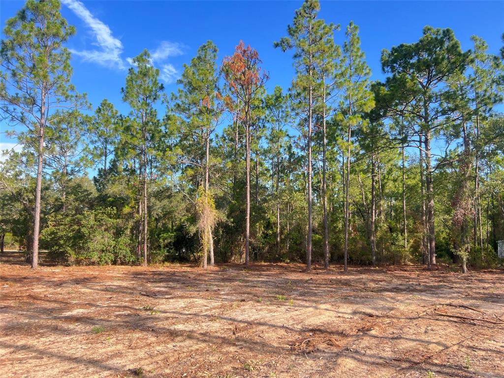 Levy Street Williston, FL 32696 - Photo 4 of 26