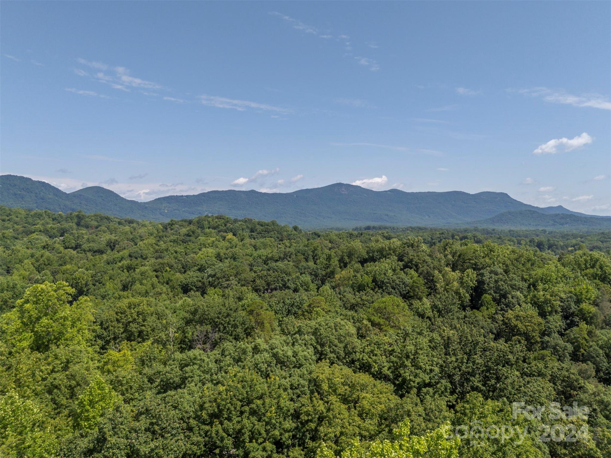 57 Greenstoke Loop Tryon, NC 28782 - Photo 48 of 48 Gallery Image 48