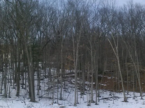 $1,950,000 | 0 Silver Street, Agawam, MA 01001