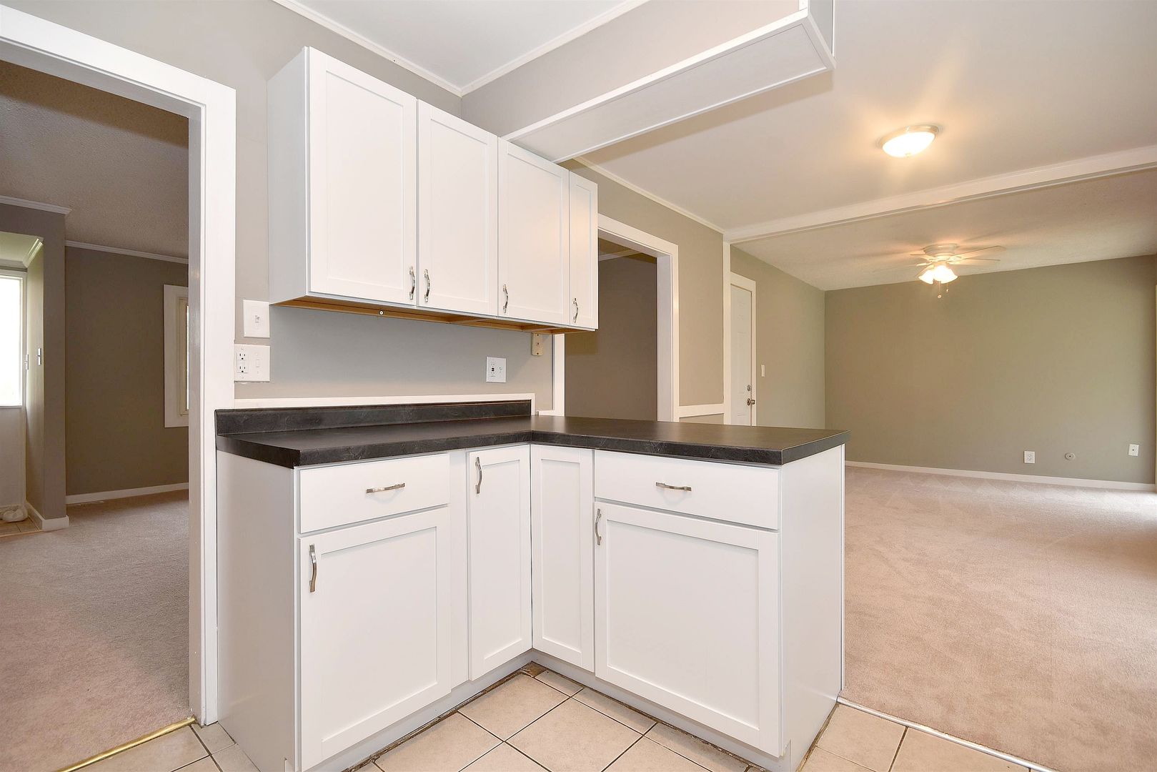 550 Spruce Road Bolingbrook, IL 60440 - Photo 5 of 20