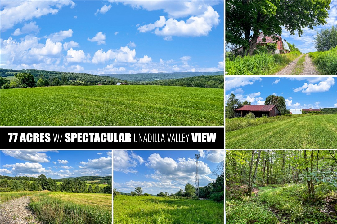 195 Fisk Hill Road Mount Upton, NY 13809 - Photo 1 of 1 Gallery Image 1