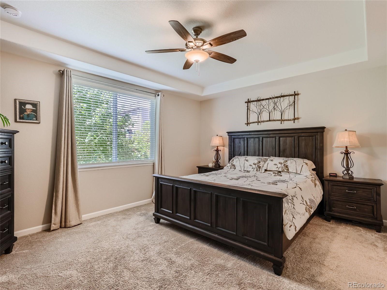 6619 Petunia Place Castle Rock, CO 80108 - Photo 13 of 39