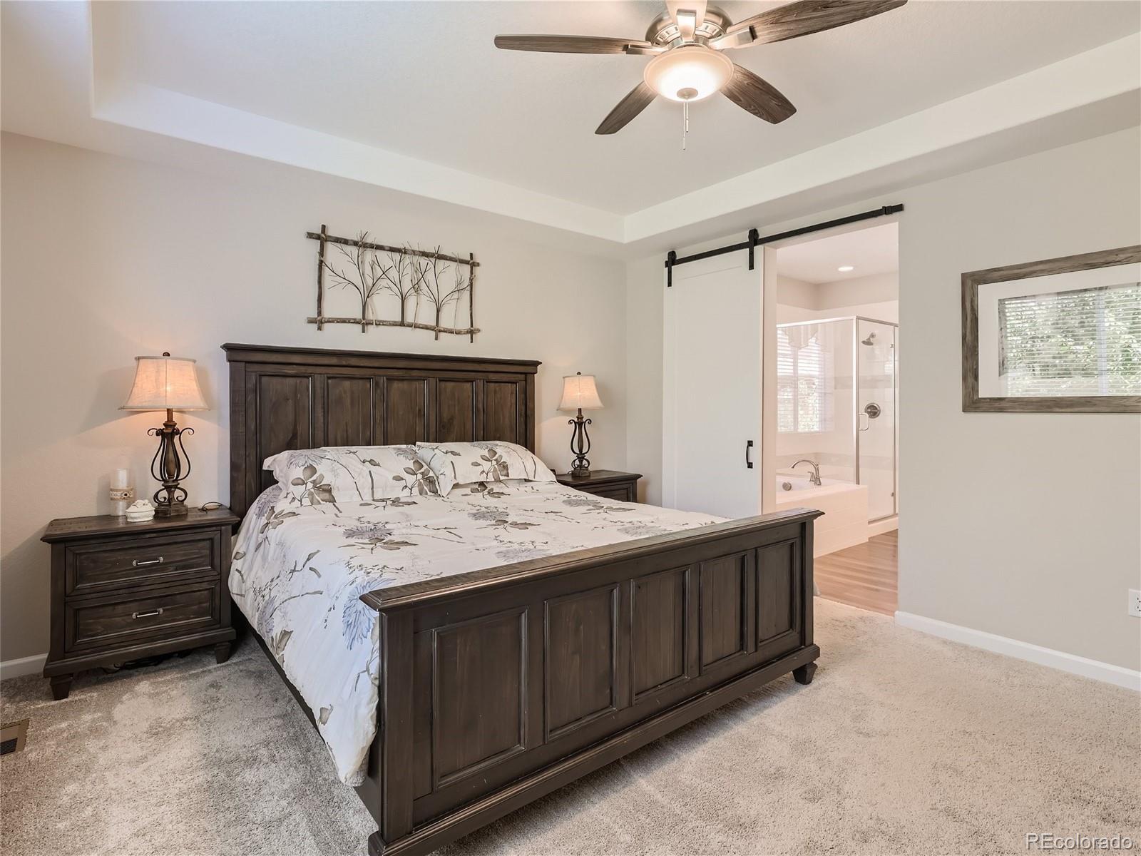 6619 Petunia Place Castle Rock, CO 80108 - Photo 14 of 39