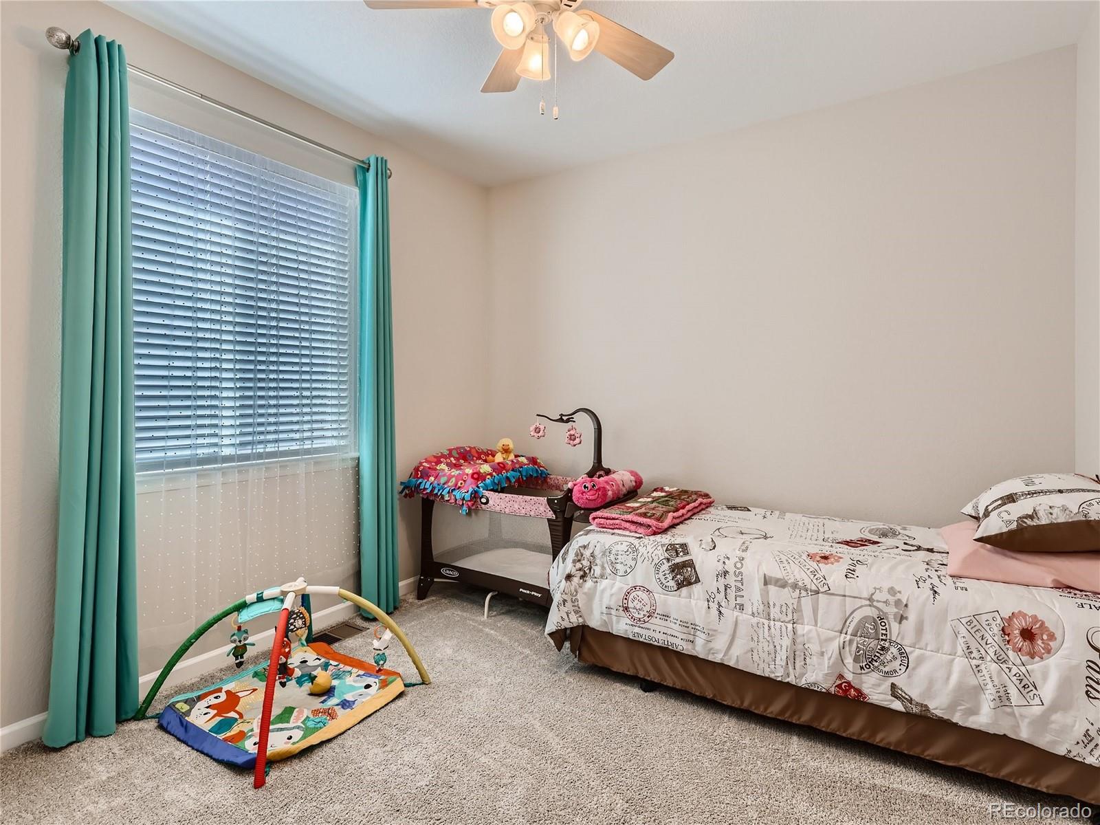 6619 Petunia Place Castle Rock, CO 80108 - Photo 18 of 39