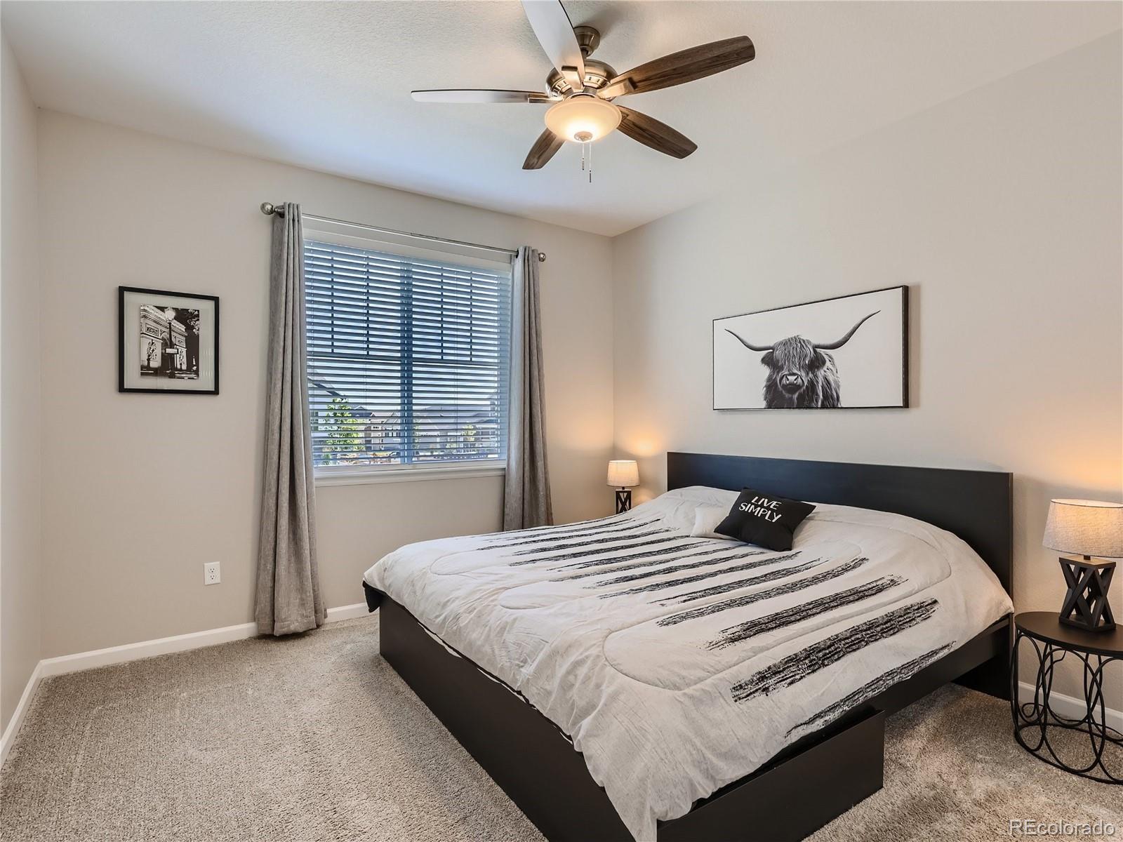 6619 Petunia Place Castle Rock, CO 80108 - Photo 19 of 39