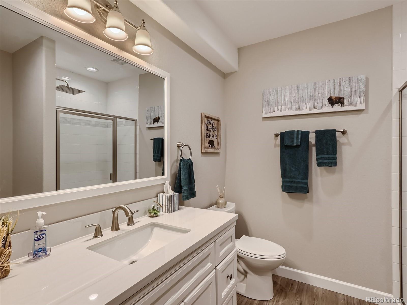 6619 Petunia Place Castle Rock, CO 80108 - Photo 27 of 39