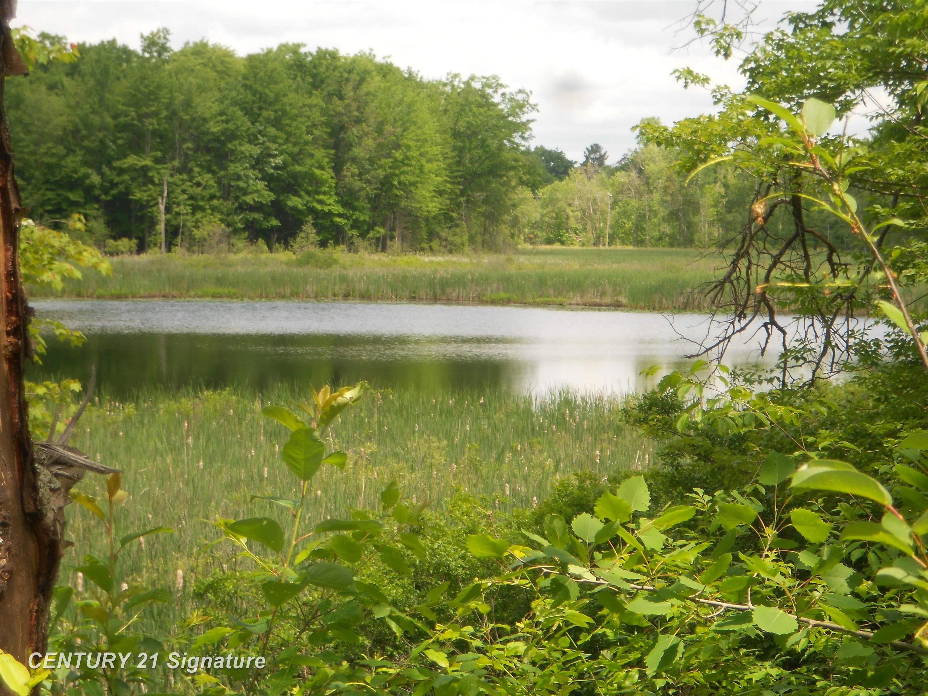 5185 Henderson Lake Road Prescott, MI 48756 - Photo 30 of 39 50116528-27.JPG