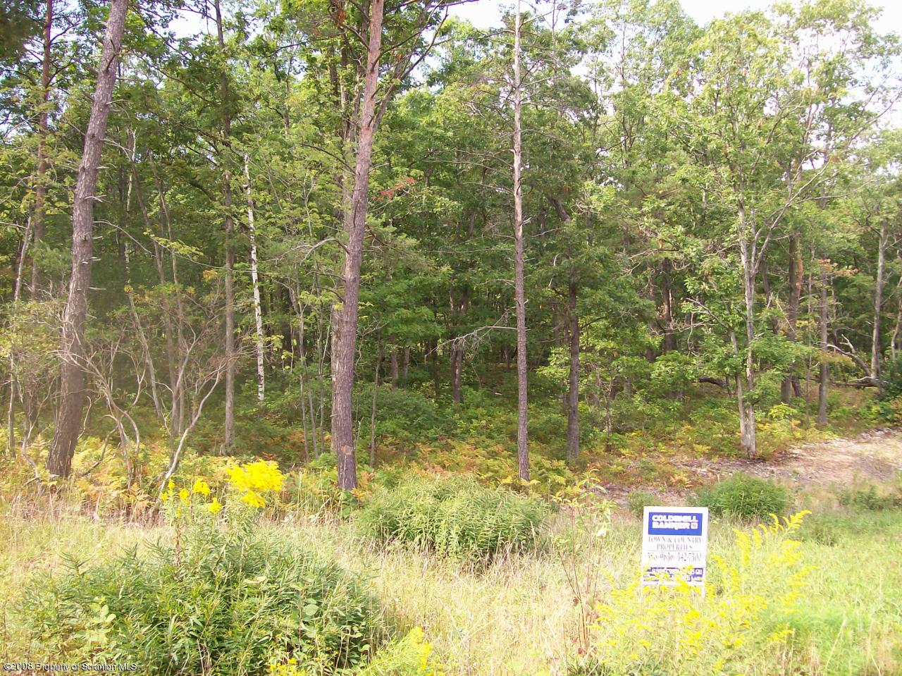 34 Ridgeview Drive Clarks Summit, PA 18411 - Photo 3 of 4 VIEW OF LOT