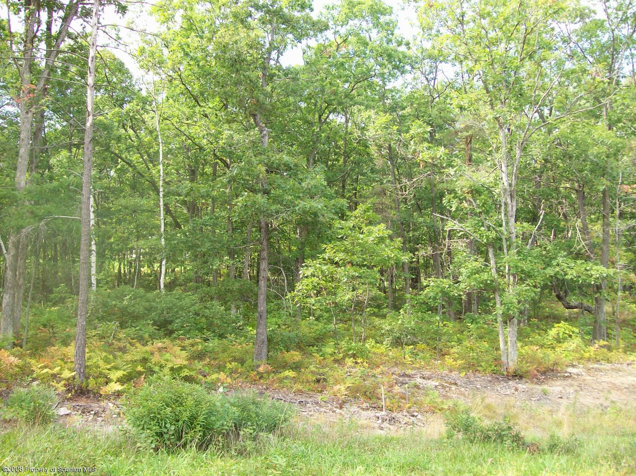 34 Ridgeview Drive Clarks Summit, PA 18411 - Photo 4 of 4 ANOTHER VIEW OF LOT