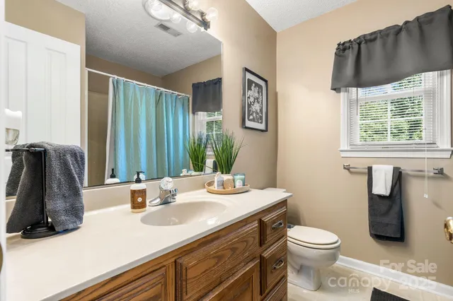 a bathroom with a sink a toilet and mirror