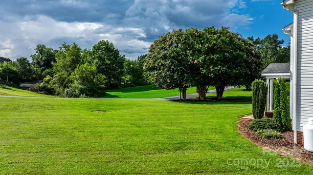a view of a park with large trees